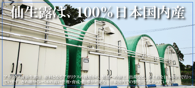 アガリクス茸仙生露は、完全国内産。安心の生産管理体制が整っています。