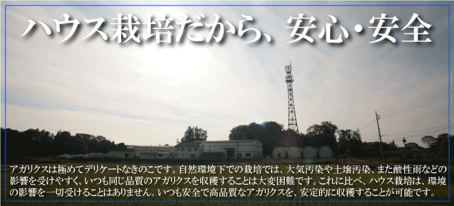 アガリクス茸仙生露は日本国内にてハウス栽培されています。ハウス栽培は大気汚染・土壌汚染とは無縁です。だから安心・安全なのです。